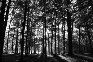 huntsville-state-park