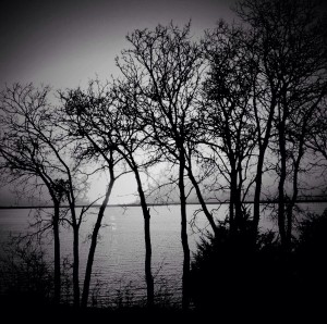 Sunset at Cedar Hill